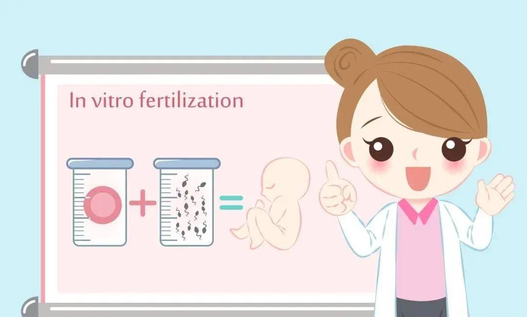 成都试管婴儿